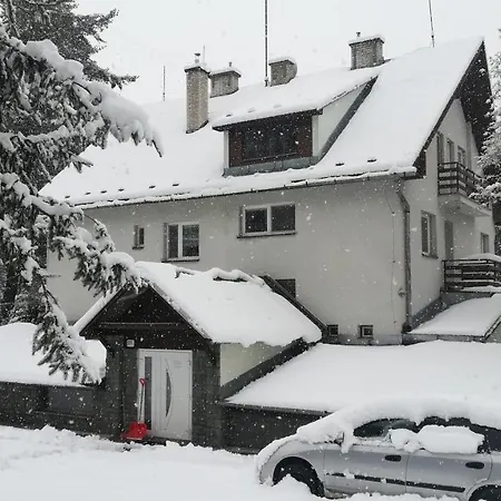 Neografia Homestay Martin
